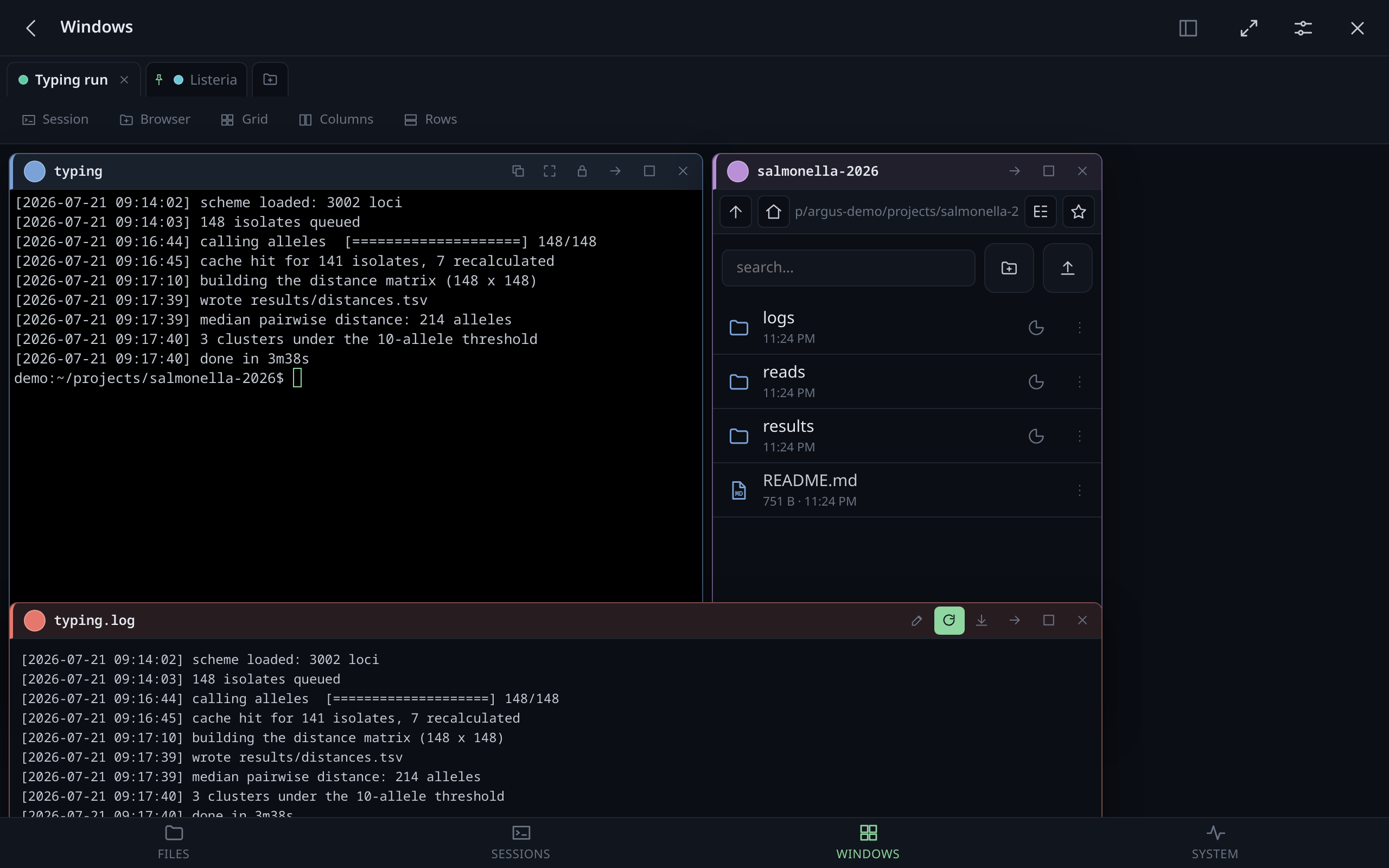 A workspace with a terminal, a file browser and a log.