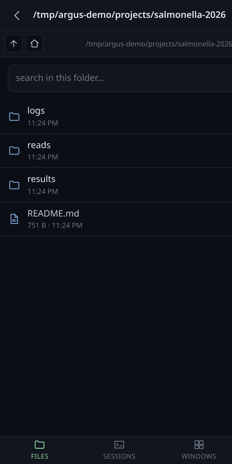 The file browser on a phone.